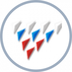 Член Российской Ассоциации Франчайзинга